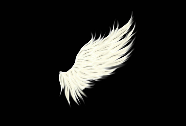 blanc ange aile illustration isolé sur fond noir
  - Photo, image