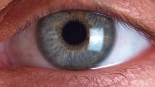 Közelkép makró szem gyönyörű kék írisz természetes szépség - Felvétel, videó