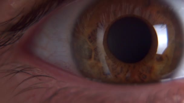 close-up macro shot van bruin mannelijk oog openen en kijken naar camera - Video