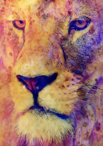 ライオンの顔とグラフィック効果。コンピュータ・コラージュ - 写真・画像