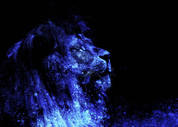 ライオンの顔とグラフィック効果。コンピュータ・コラージュ - 写真・画像
