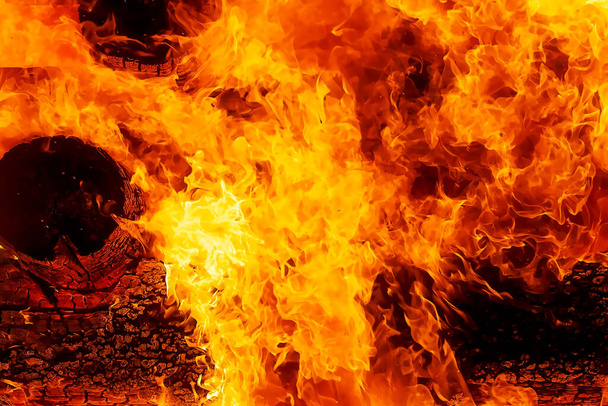 fascinante detalle gráfico de la quema de leños de madera que consumen fuego
 - Foto, Imagen