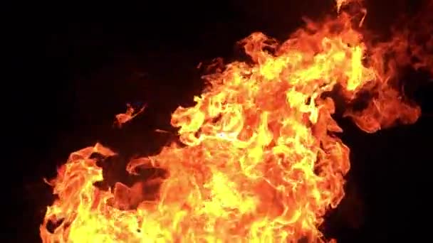 zbliżenie slow-up film płonący ogień na czarnym tle - Materiał filmowy, wideo