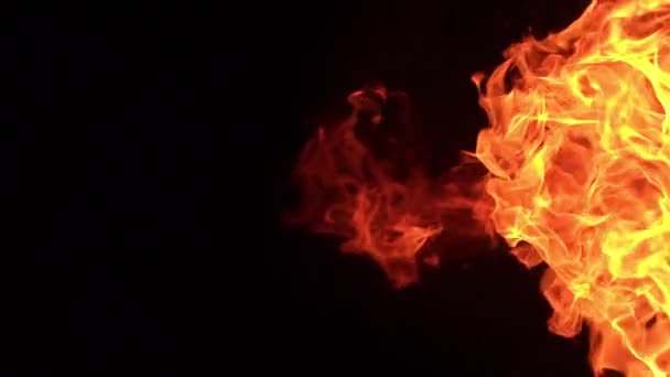 zbliżenie slow-up film płonący ogień na czarnym tle - Materiał filmowy, wideo