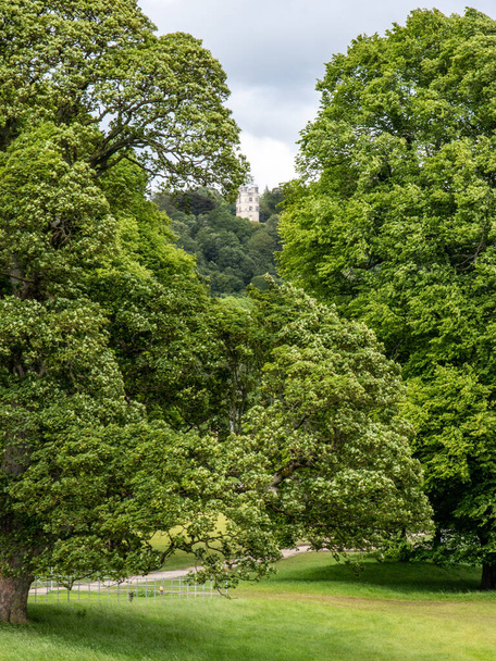 Chatsworth nieruchomości Derbyshire, grunty, most, drzewa, dom. - Zdjęcie, obraz