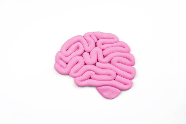 Modèle de cerveau humain rose sur fond blanc. Vue de profil, plan plat. Concept d'intelligence
.  - Photo, image