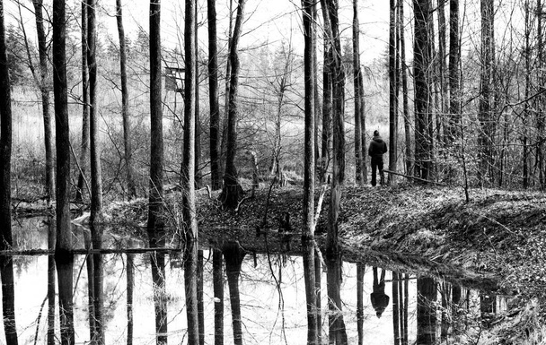 Hermoso lago. Los árboles se reflejan en el agua. Lago en un hermoso bosque. La figura de un tipo en el bosque. Contexto
. - Foto, Imagen