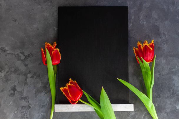 Black chalk board mockup with red tulip flowers on dark grey concrete background. Blackboard menu easel.Copy space text content price, sales adding. Blank template inscription.Education school display - Photo, Image