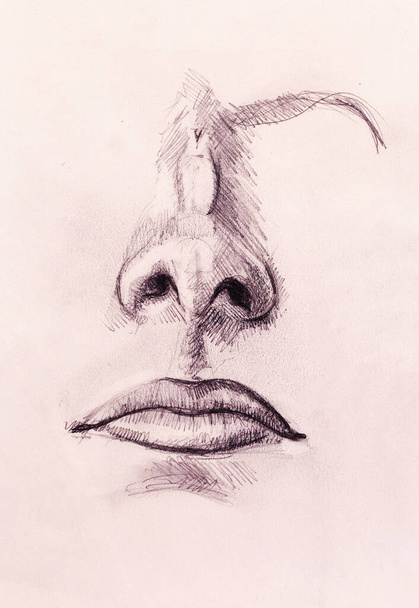художественный эскиз частей лица, носа и рта, на белом бумажном фоне
 - Фото, изображение