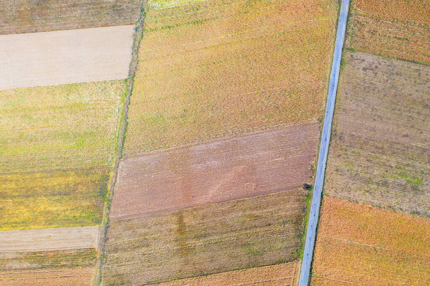 Terreno agrícola vista aérea de cima perto da estrada rural, drone vista ladnscape. Conceito de culturas
 - Foto, Imagem