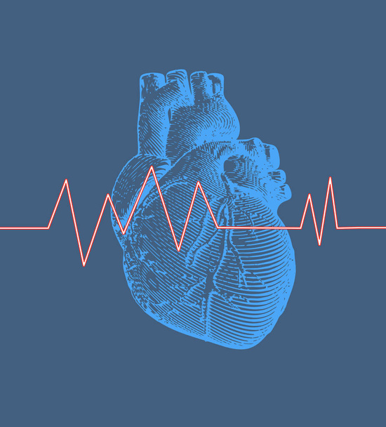Mavi arkaplanda kalp atış hızı grafiği olan eski model oyma mavi insan kalbi çizimi - Vektör, Görsel