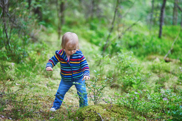 Adorable baby girl walking in the forest. Little child having fun outdoors. Kid exploring nature - Photo, Image