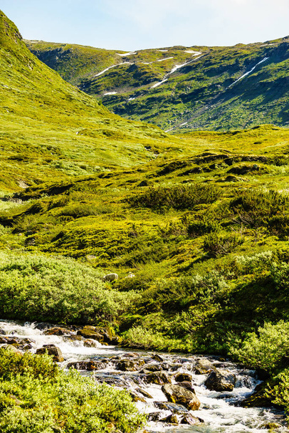 River stream in green summer mountains, Norway natue - Фото, изображение