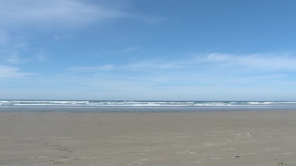 Man loopt weg op zandstrand naar de waterkant in Oregon aan de kust. - Video