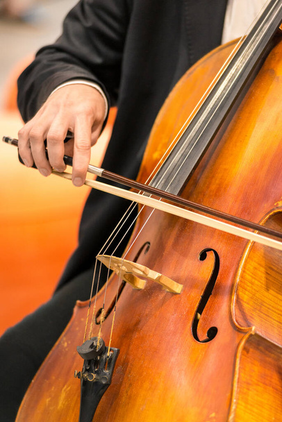 instrumento musical de cuerda, viola - violín grande, primer plano
. - Foto, Imagen