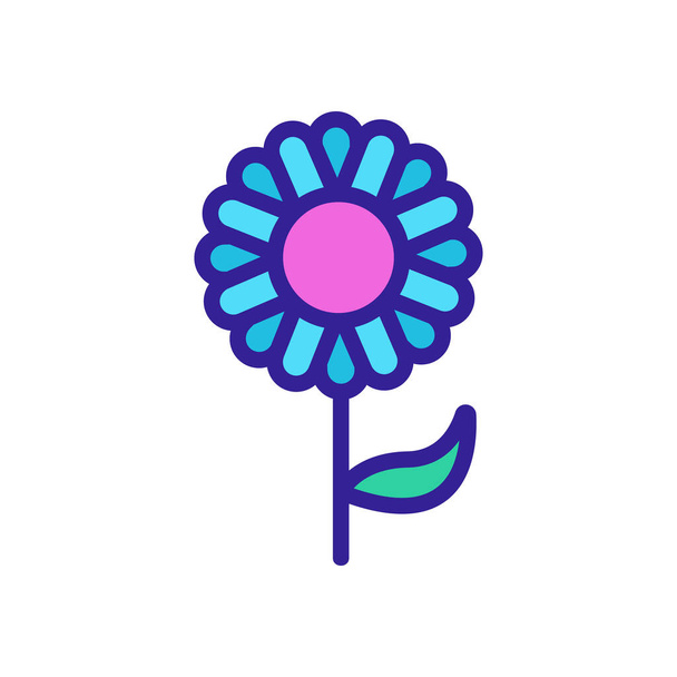 Frühling Chrysanthemen Symbol-Vektor. Chrysanthemenzeichen im Frühling. Farbe isoliert Symbol Illustration - Vektor, Bild
