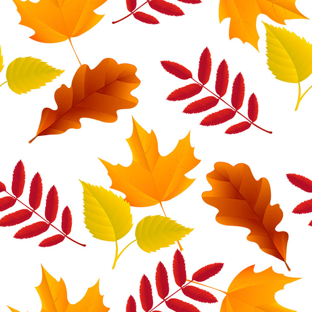 Modèle de feuilles d'automne sans couture - Vecteur, image