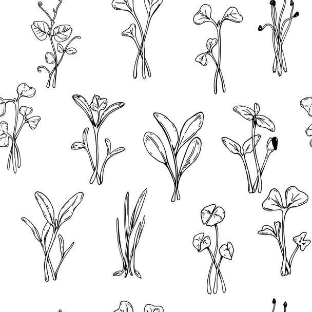 Hand drawn micro greens seamless pattern. Vector illustration in sketch style isolated on white background - Vector, Image