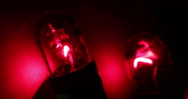 Lumière de Noël rouge fermer
 - Séquence, vidéo