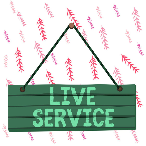 Handwriting text writing Live Service. Concept meaning Extending or providing help to others in verbal or action way Wood plank nail pin string board colorful background wooden panel fixed. - Photo, Image