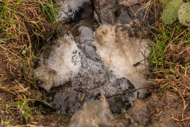 Little spring with flowing and foamy water along the ground - Photo, Image