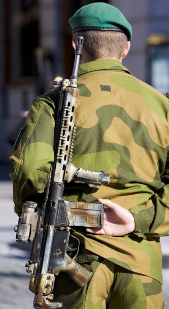 katonai parádét, oslo, Norvégia - Fotó, kép