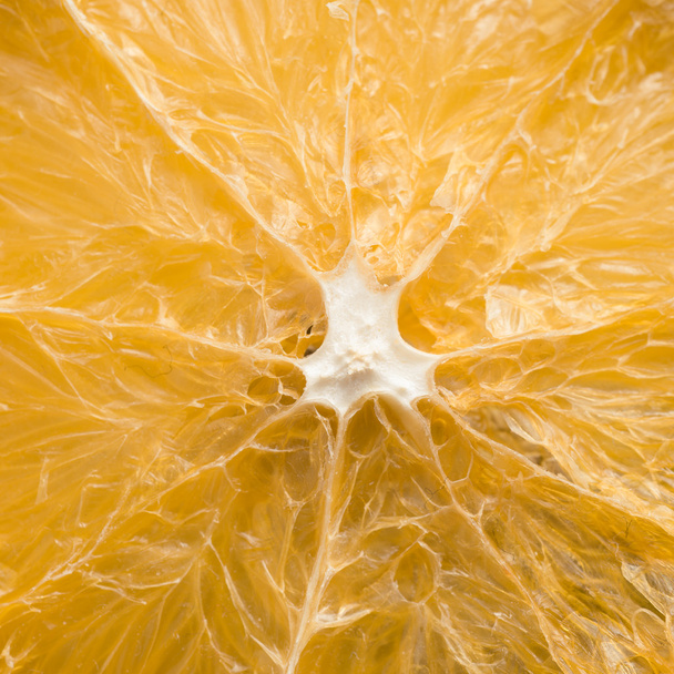 Dried orange - Photo, Image