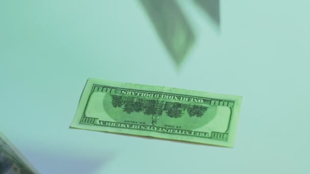 létající dolary obchodní zisk sto babek bankovky - Záběry, video