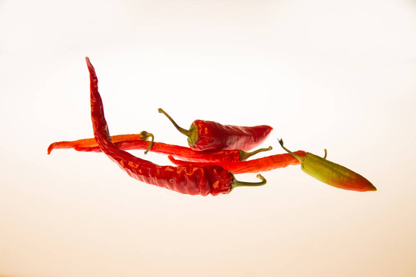 Red pepper on white isolated background - 写真・画像