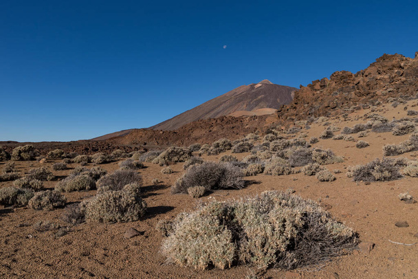 Martiaanse landschap op de oostelijke hellingen van Montana Blanca Mirador las Minas de San Jose met Teide mount op de achtergrond. Nationaal park Teide, Tenerife, Canarische eilanden, Spanje - Foto, afbeelding