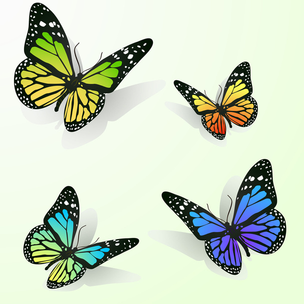 Vielfarbige Schmetterlinge - Vektor, Bild