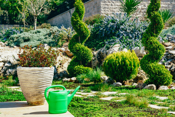 Canfor de rega verde flores no jardim
 - Foto, Imagem