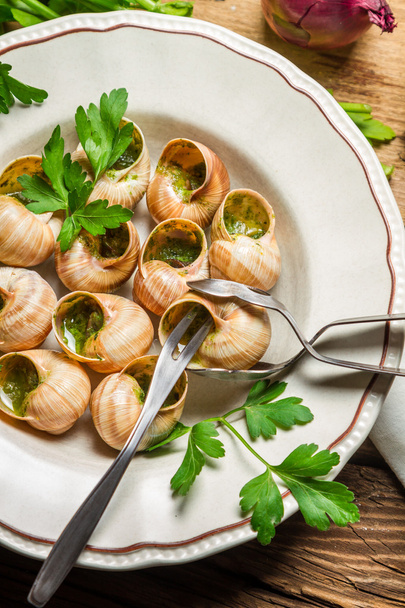Snails baked in garlic butter served on a plate - Фото, зображення