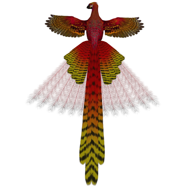 Phoenix Firebird - Photo, Image