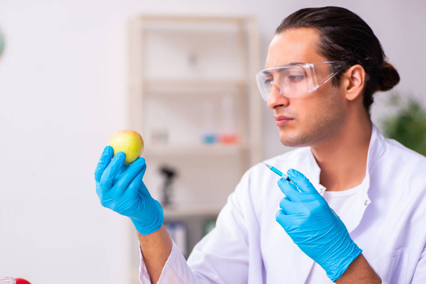 若い男性栄養専門家は、研究室で食品をテスト - 写真・画像