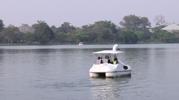 Утиная лодка Pedalo или весло гусиная лодка в общественном парке озера и белый педаль лодки весла в общественном парке зрения
. - Кадры, видео