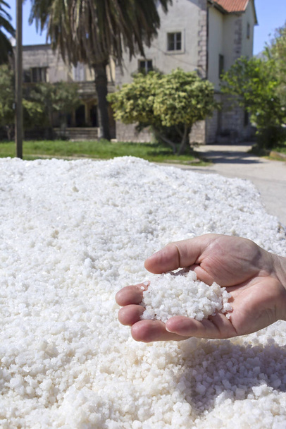 Une poignée de sel. C'est une substance simple mais vitale. A Ston, en Croatie, le sel est extrait de l'eau de mer, les mines de sel de Ston
. - Photo, image