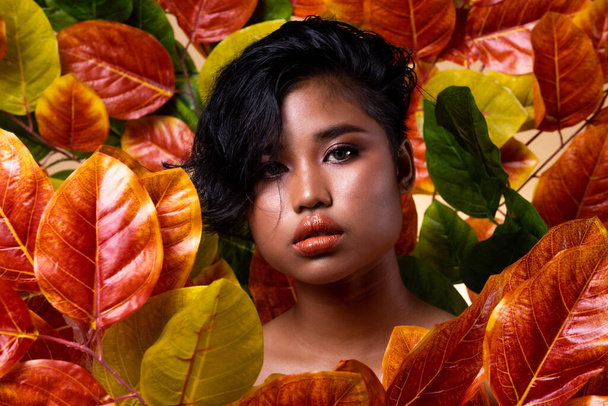 Queen tanned skin of the Jungle, Asian Teenager woman with Fashion make up stand in middle of Red reddish leafs as forest, Studio lighting copy space, Green Tree save wood concept - Photo, Image