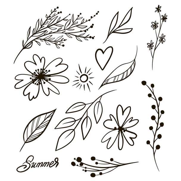Decorative beauty elegant illustration for design hand drawn flowers - Fotografie, Obrázek