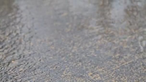 Rainwater rippling during rain in summer. Brown nature background, close shot. Handheld video, nature landscape. Rain at city street - Πλάνα, βίντεο