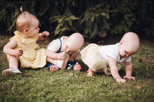 3人の小さな子供が緑の草の上を這って一緒に楽しみます - 写真・画像