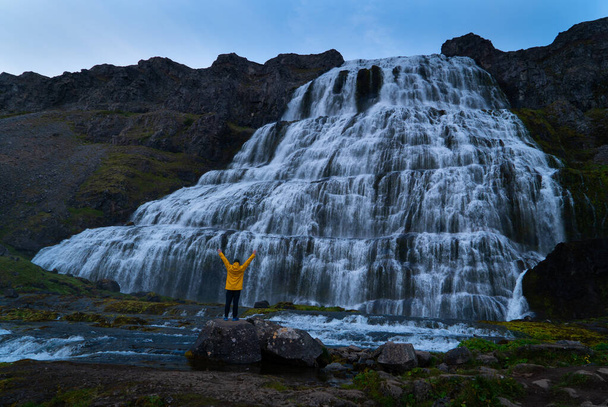 Young hiker in yellow jacket stands infront of Dynjandi or Fjallfoss, big and powerfull waterfall cascade in the westfjords of the Icelandic wilderness during daytime. Waterfalls, traveling and - Zdjęcie, obraz