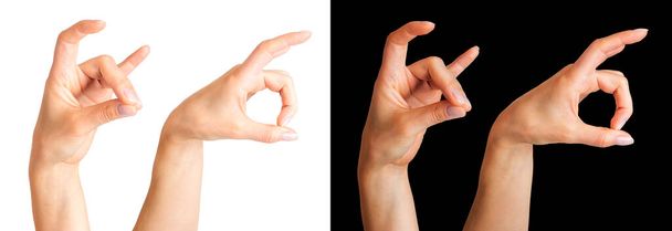 Set di mani femminili che mostrano corna di animale o che danno il gesto delle corna del diavolo
 - Foto, immagini