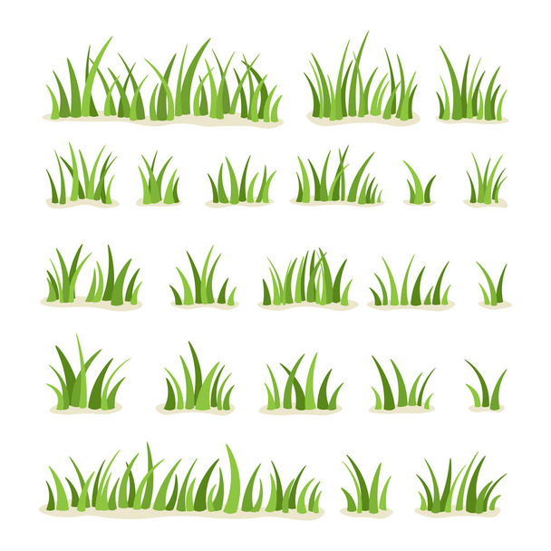 Set of green grass isolated on white background. Vector illustration. - Vector, Image