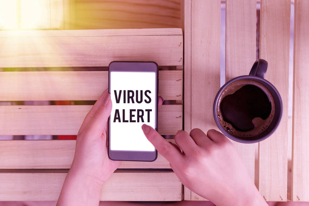 Handschriftlicher Text Virus Alert. Konzept bedeutet Warnung vor einer nicht existenten Bedrohung durch Computerviren. - Foto, Bild