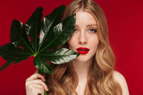 Bild von jungen kaukasischen Frau posiert mit grünem Blatt Pflanze isoliert über roten Wand Hintergrund mit leuchtend rotem Lippenstift. - Foto, Bild