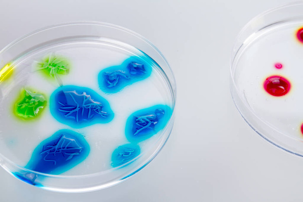 Barevné kapky tekutiny v Petriho miskách. - Fotografie, Obrázek