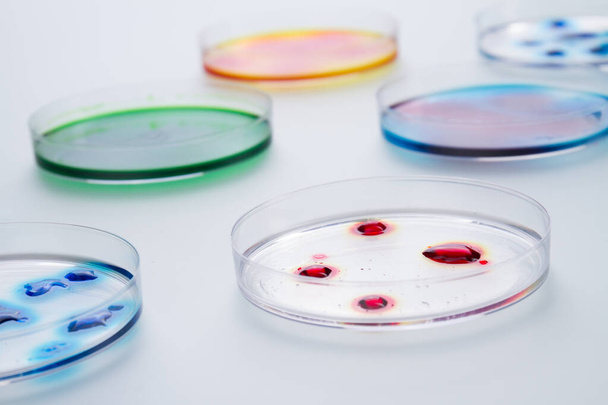 Lab petri dishes with various colorful liquids. - Photo, image
