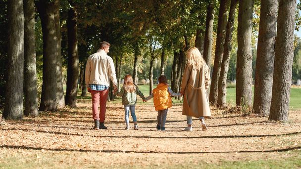 Spending time in nature. Back view of a family holding hands and walking in the park - Foto, afbeelding