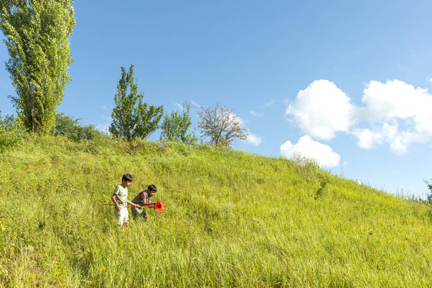 Aufnahme von drei kleinen Jungen, die an klaren Frühlingstagen oder Sommertagen am Berg spazieren gehen. Sie fangen Schmetterlinge oder Insekten mit einem Schmetterlingsnetz. Glückliche Kindheit - Foto, Bild
